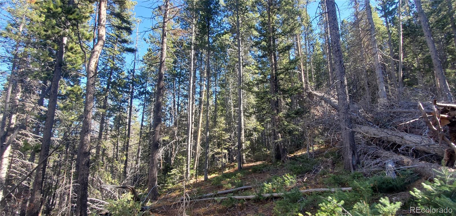 Lot 2999 & 2998 Drexler Place Fort Garland CO 81133