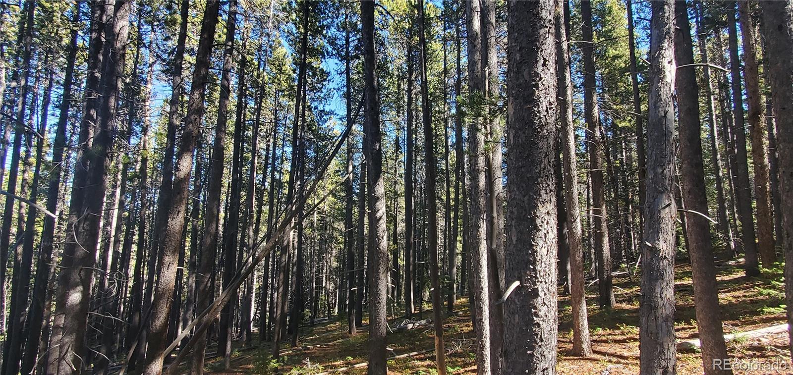 Lot 2999 & 2998 Drexler Place Fort Garland CO 81133