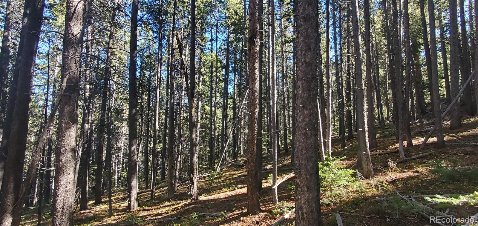 Lot 2999 & 2998 Drexler Place Fort Garland CO 81133