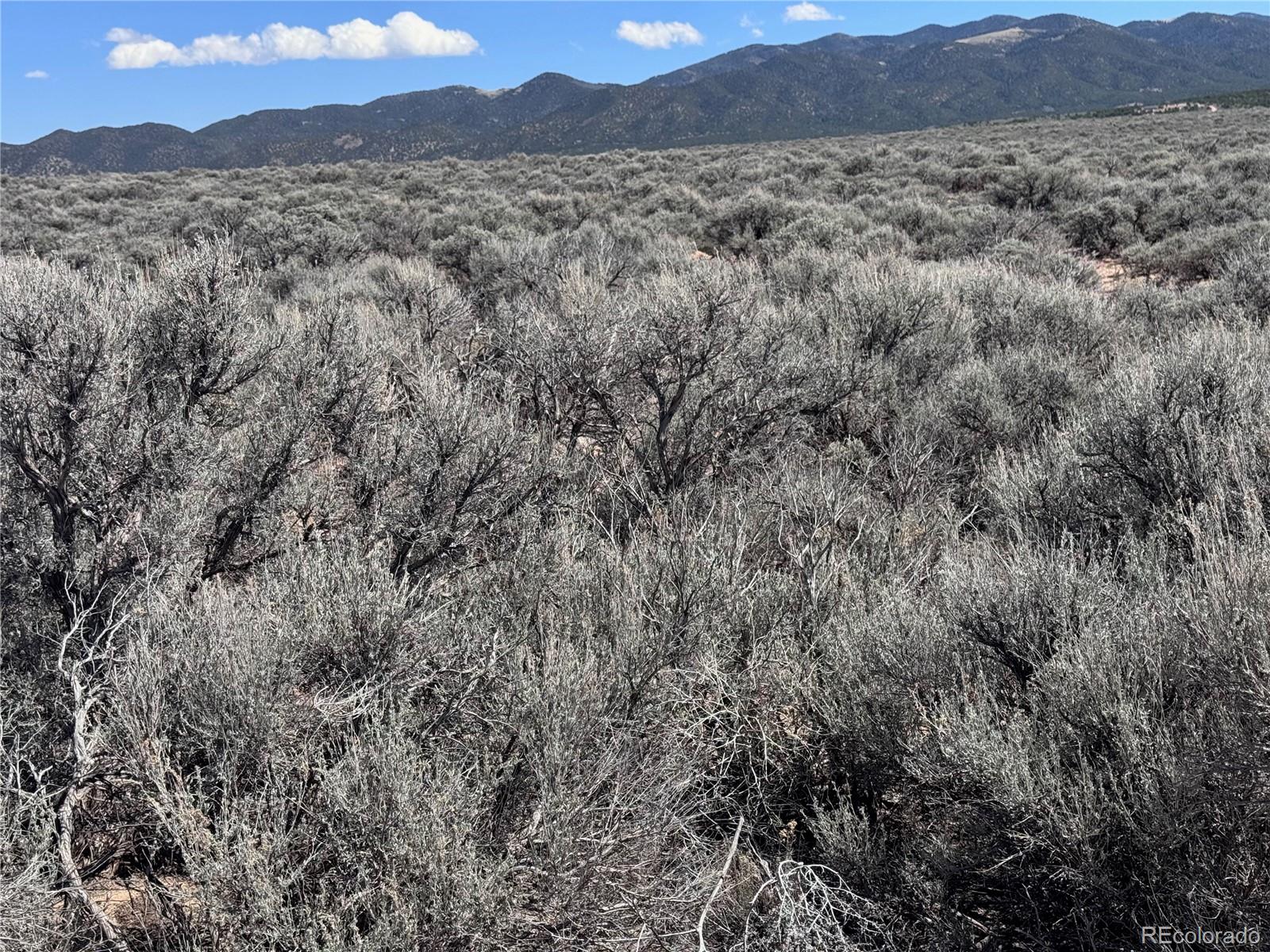 S 90 County Road 19.5 Fort Garland CO 81133