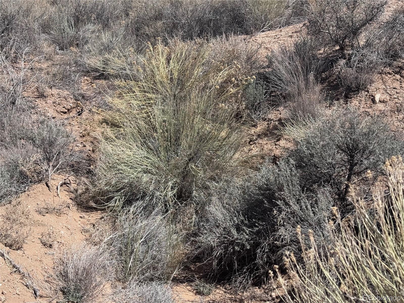 S 90 County Road 19.5 Fort Garland CO 81133