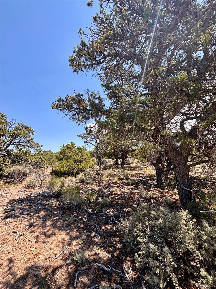 1134 Jorgulesco Road Fort Garland CO 81133