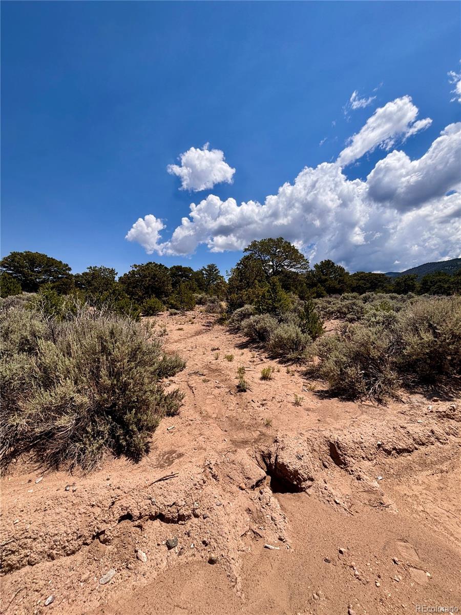1134 Jorgulesco Road Fort Garland CO 81133