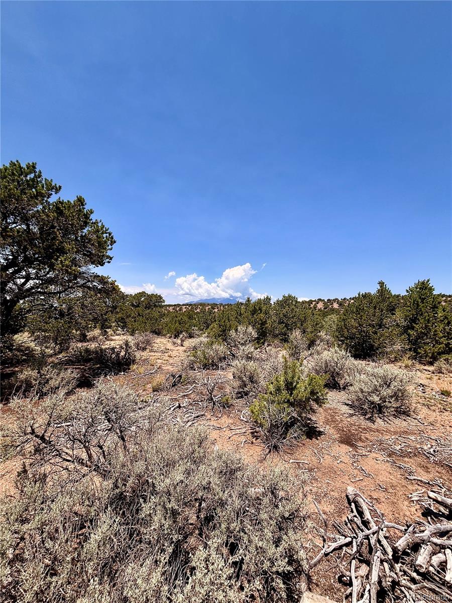 1134 Jorgulesco Road Fort Garland CO 81133