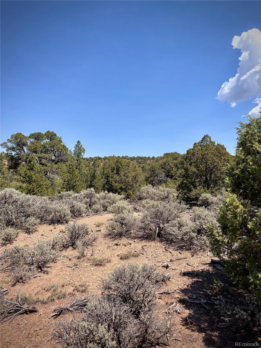 1134 Jorgulesco Road Fort Garland CO 81133