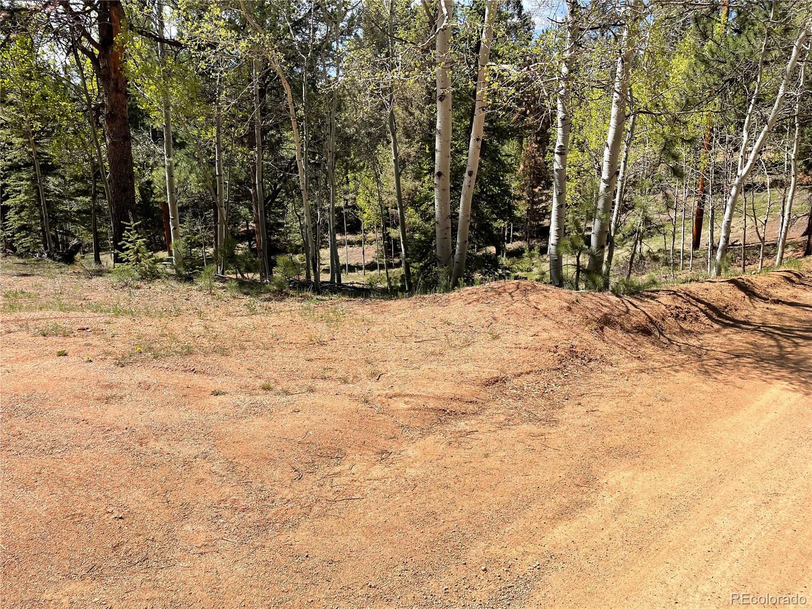 146 Gibson Road Westcliffe CO 81252