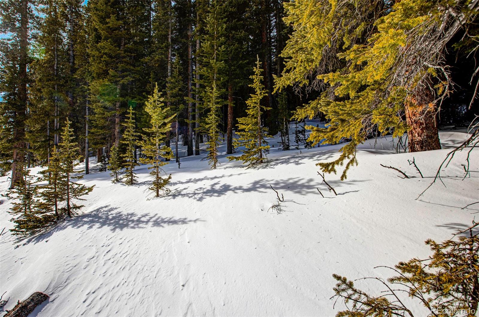 345 Bum Drive Fairplay CO 80440
