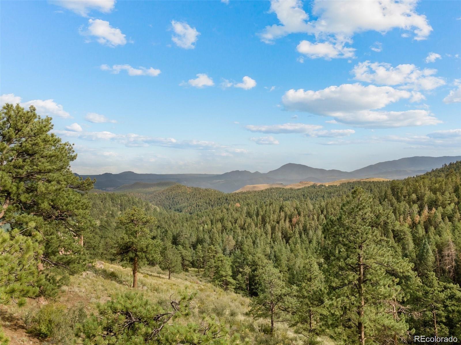 13817 Gordon Court Pine CO 80470