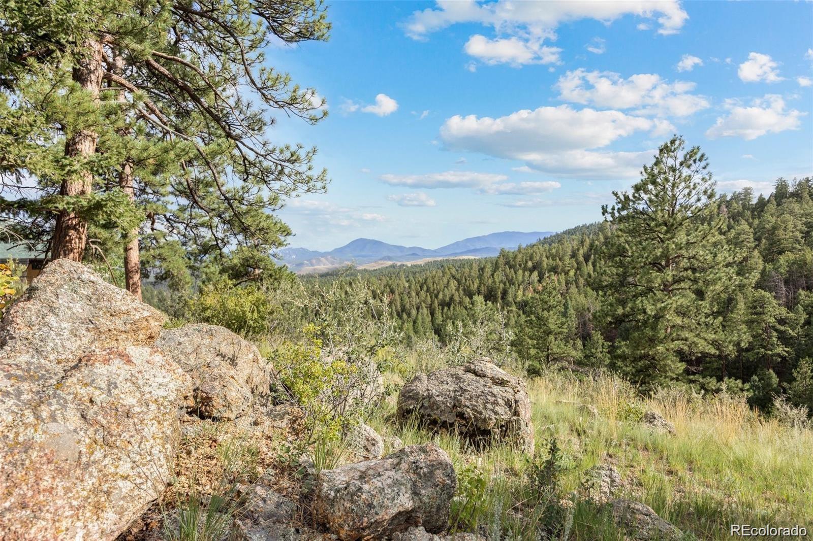 13817 Gordon Court Pine CO 80470