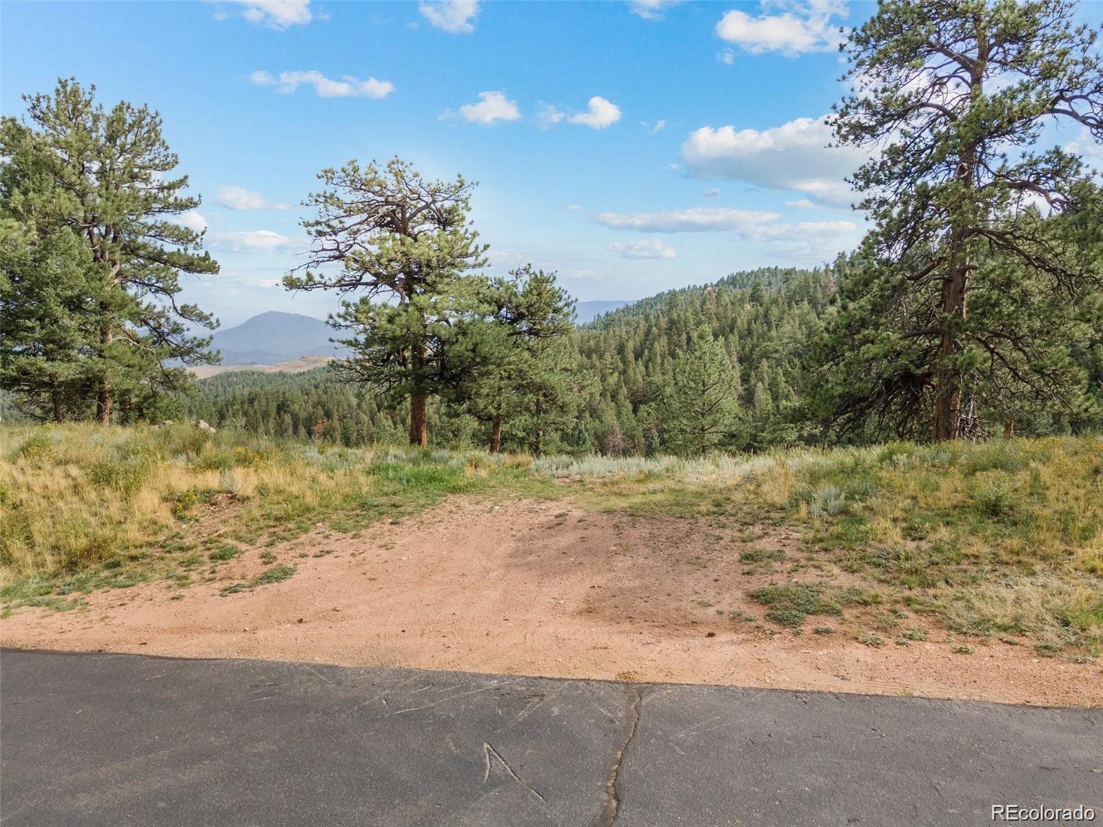 13817 Gordon Court Pine CO 80470