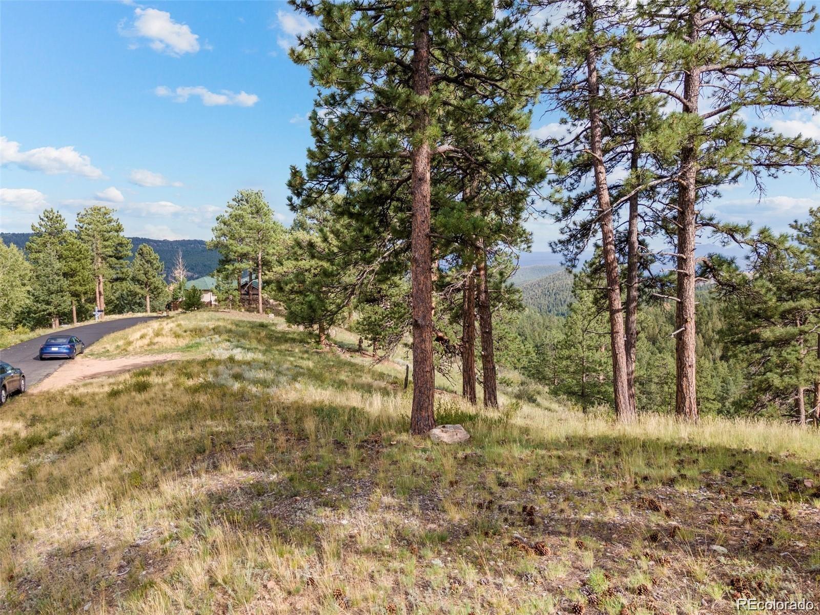 13817 Gordon Court Pine CO 80470