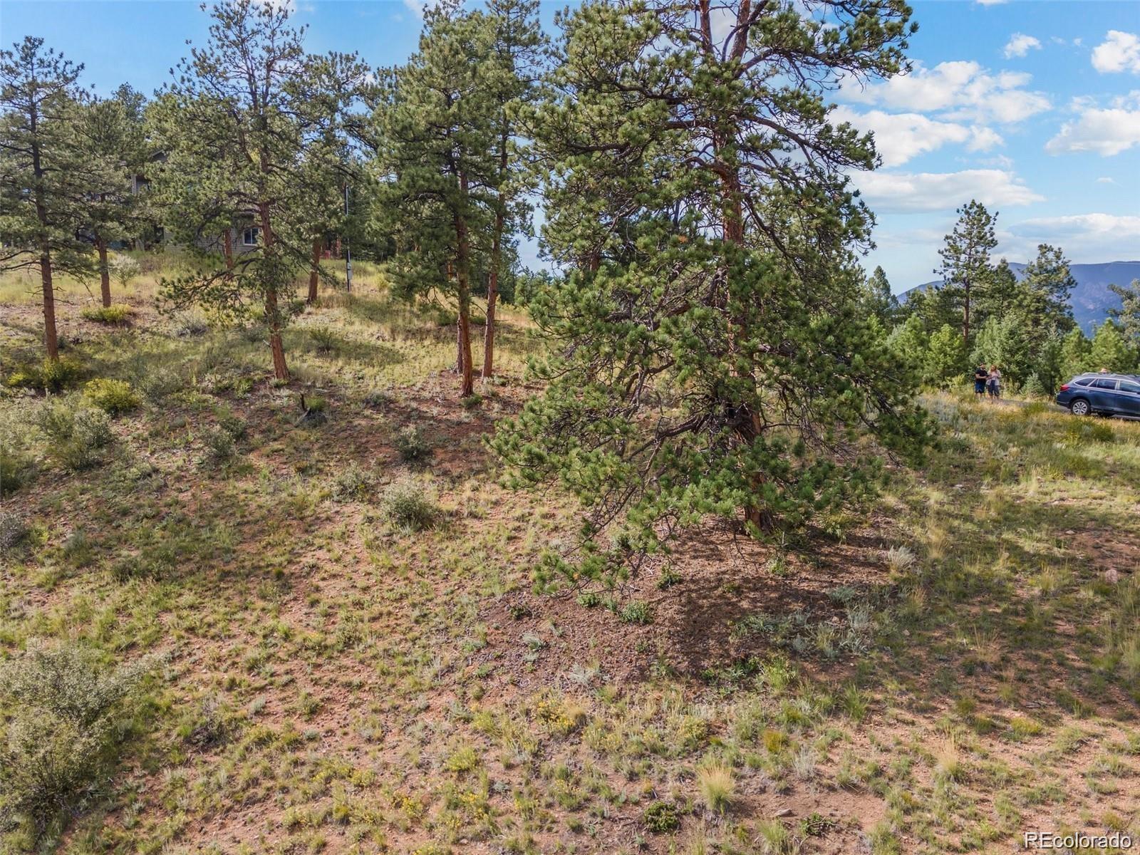 13817 Gordon Court Pine CO 80470
