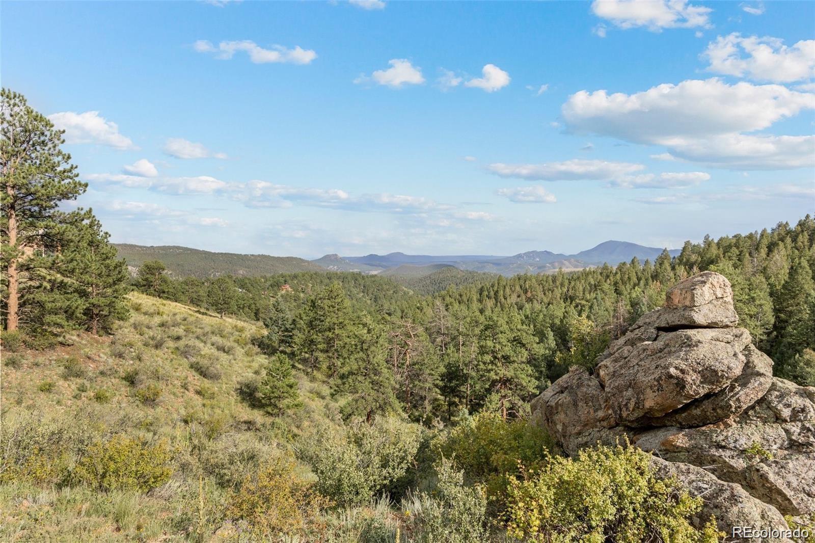 13817 Gordon Court Pine CO 80470