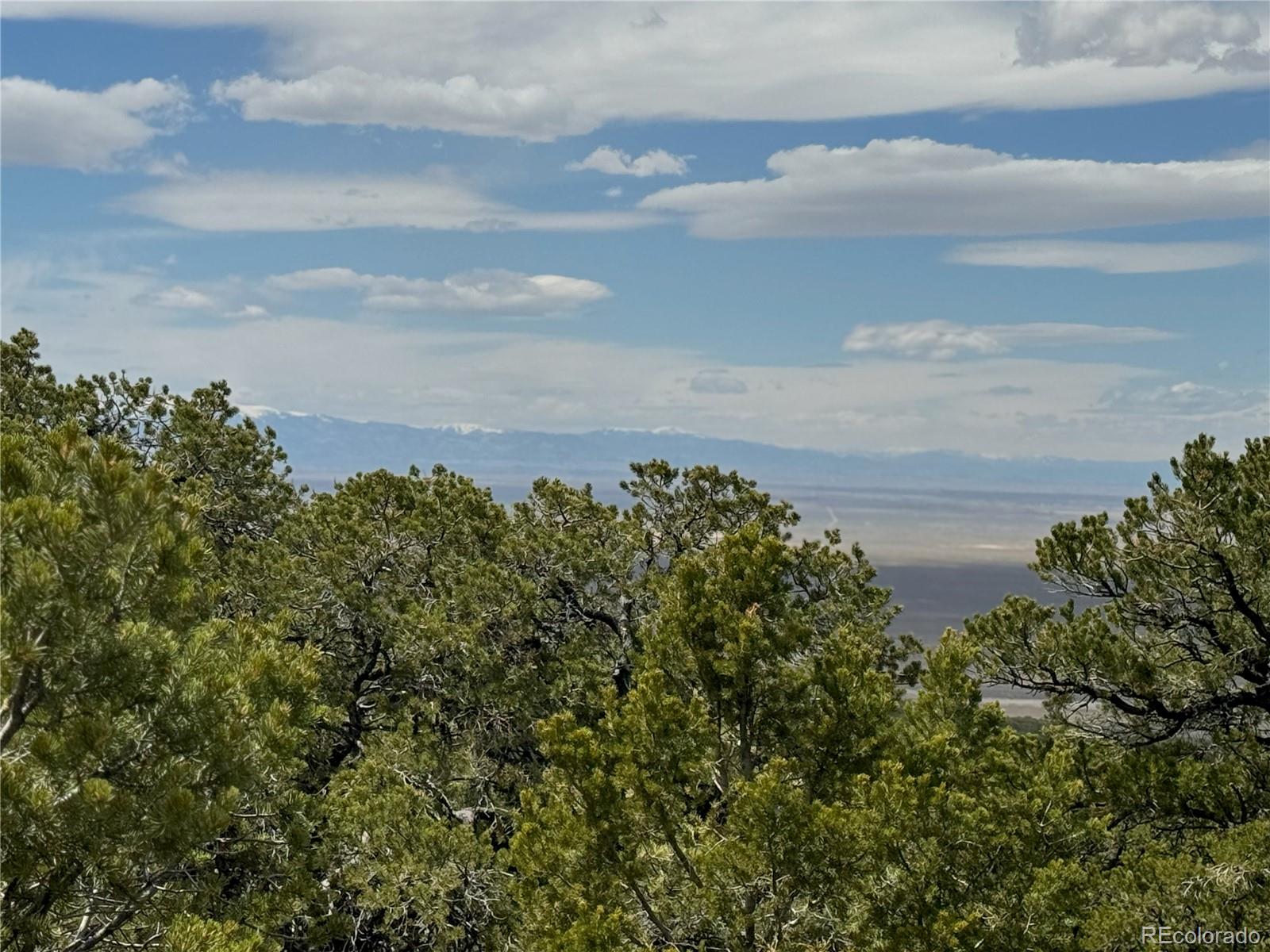 338 Cedar Ridge Road Mosca CO 81146