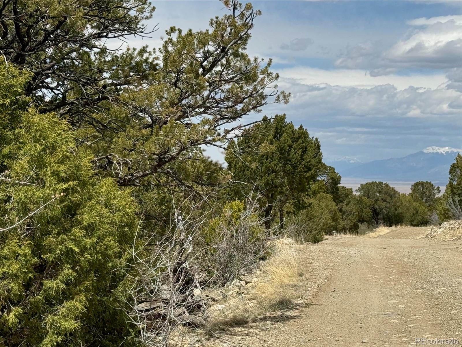 338 Cedar Ridge Road Mosca CO 81146
