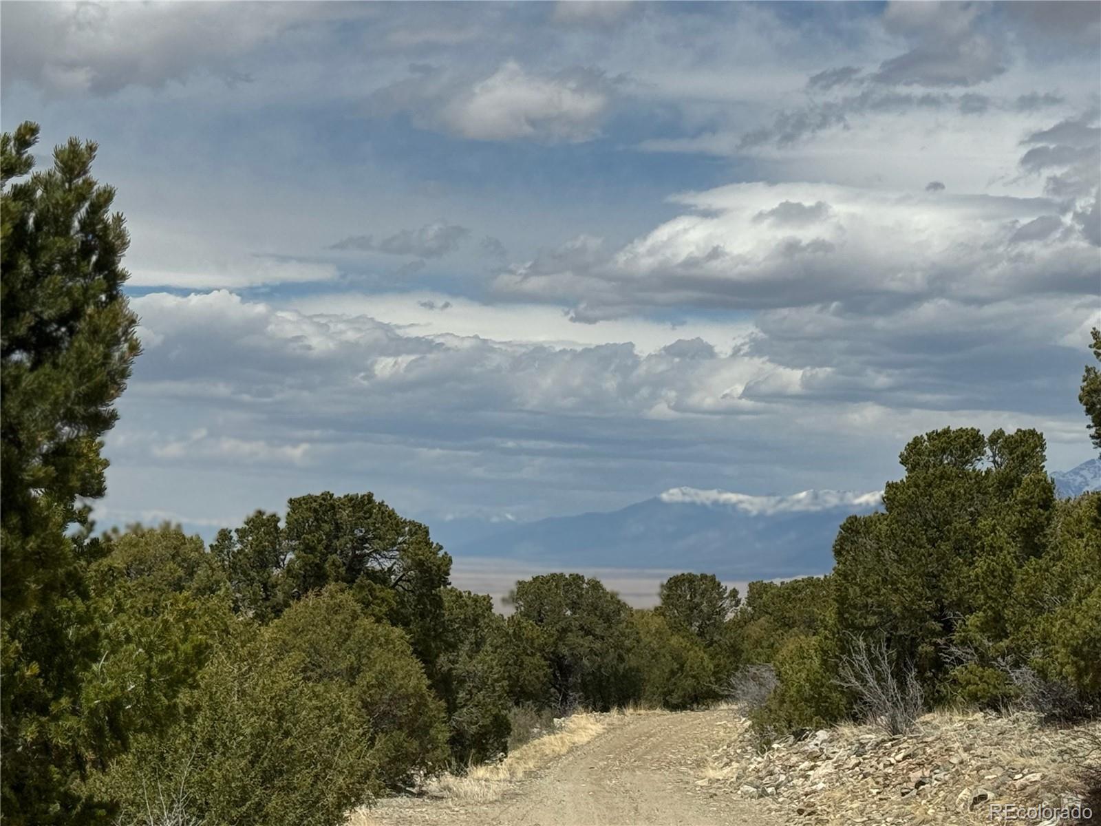 338 Cedar Ridge Road Mosca CO 81146