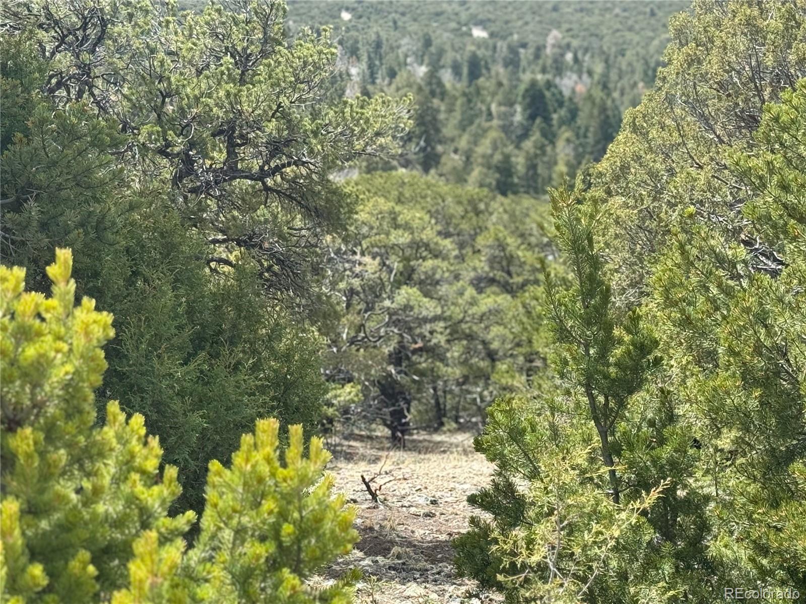 338 Cedar Ridge Road Mosca CO 81146