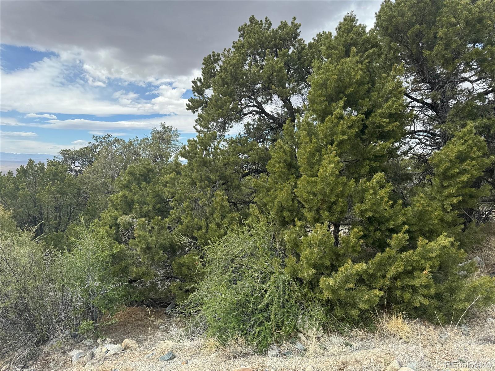 338 Cedar Ridge Road Mosca CO 81146
