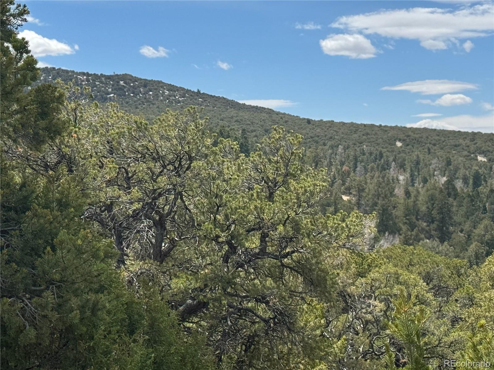 338 Cedar Ridge Road Mosca CO 81146