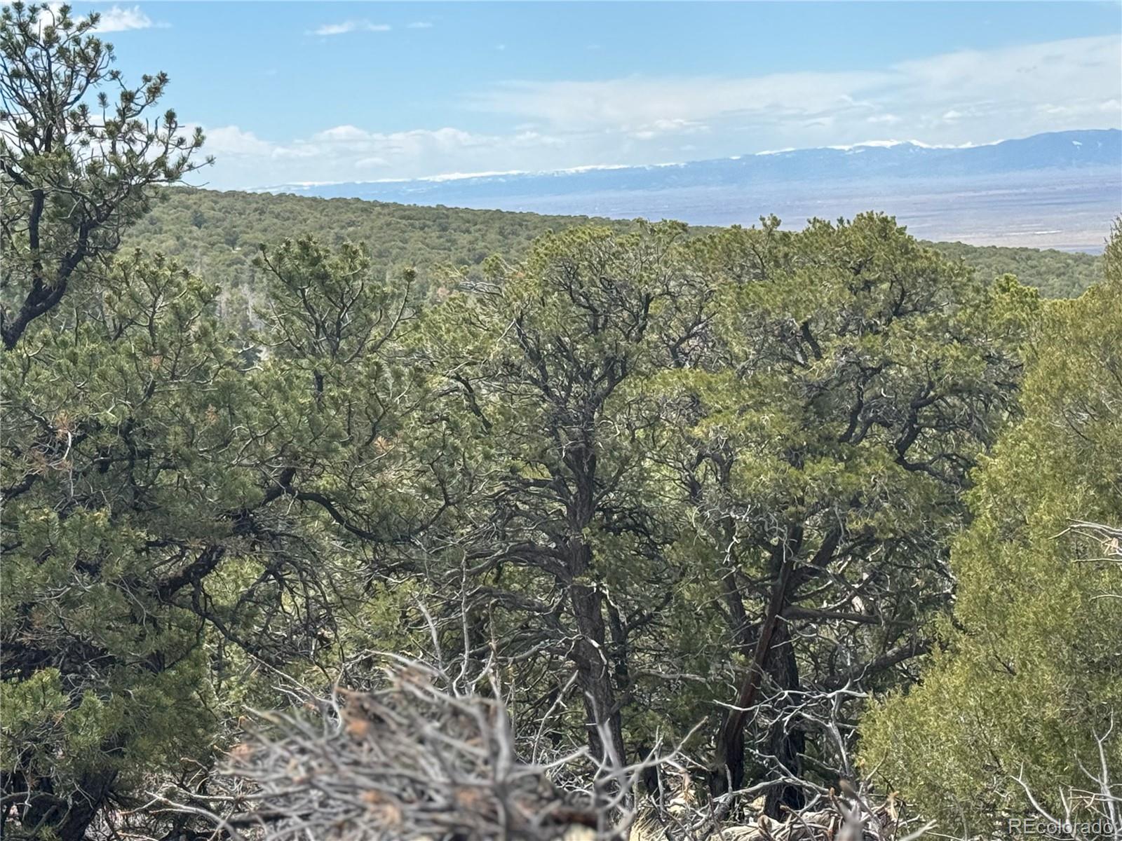 338 Cedar Ridge Road Mosca CO 81146