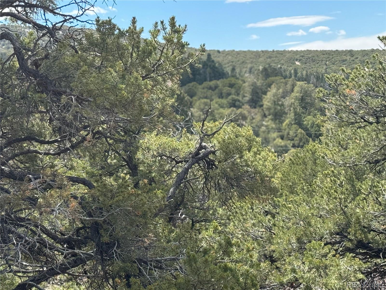 338 Cedar Ridge Road Mosca CO 81146