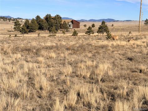 311 Harness Way Hartsel CO 80449
