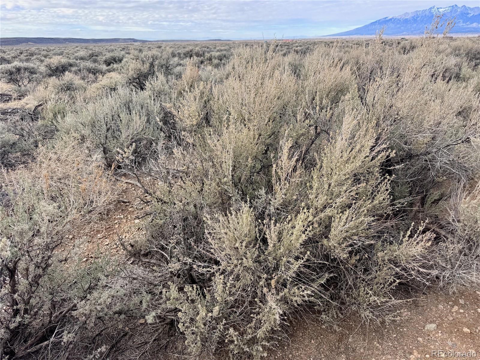 Lot 27 Dante Road Fort Garland CO 81133