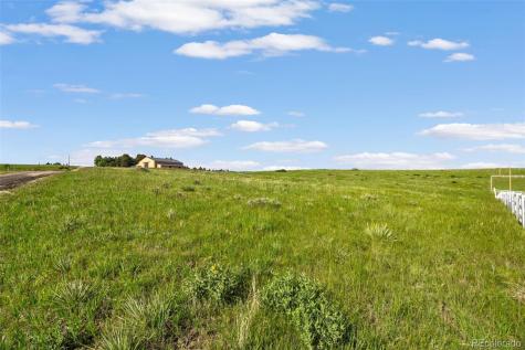 8445 Vinegarroon Road Parker CO 80138