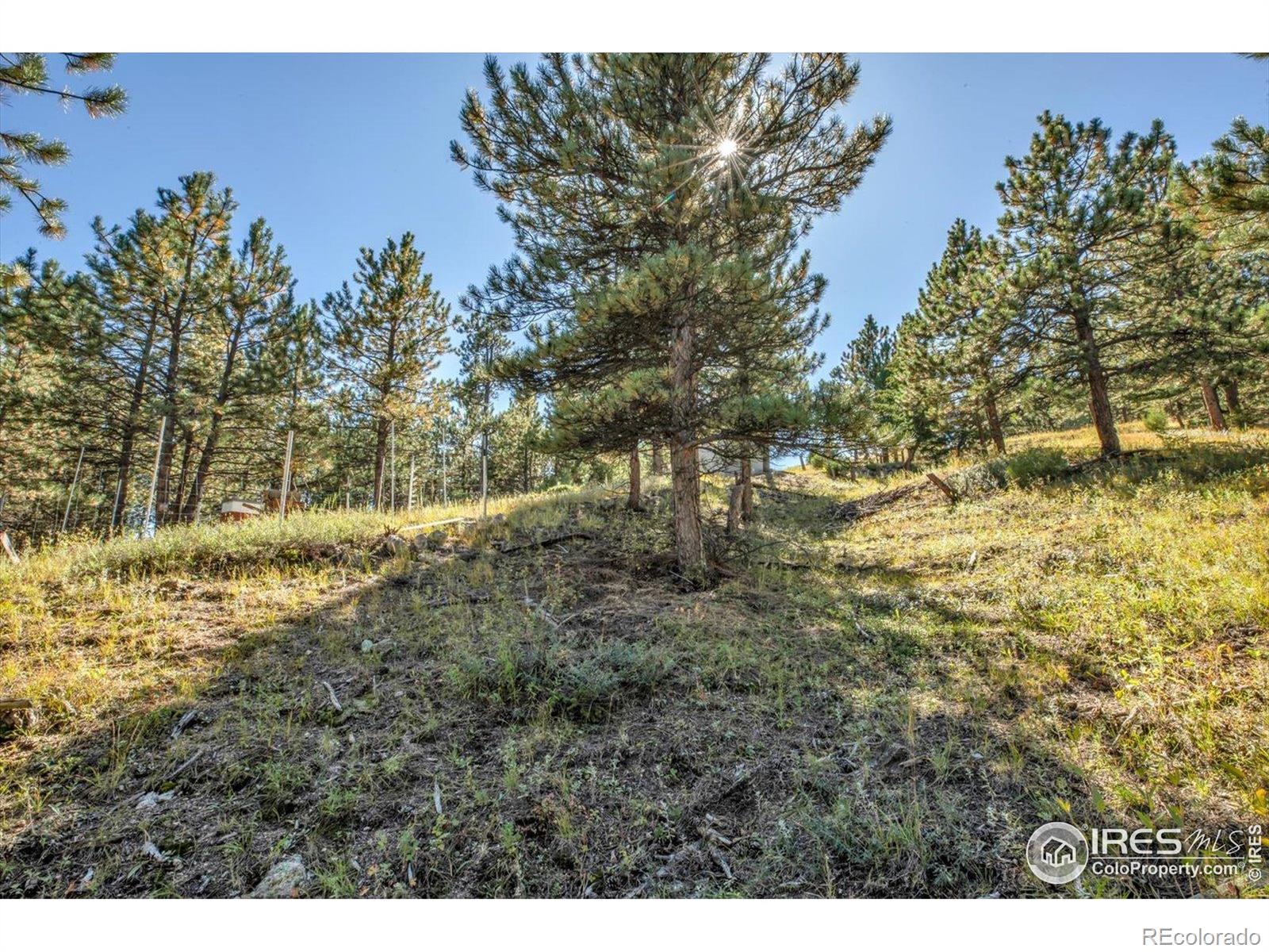 198 Puma Drive Boulder CO 80302