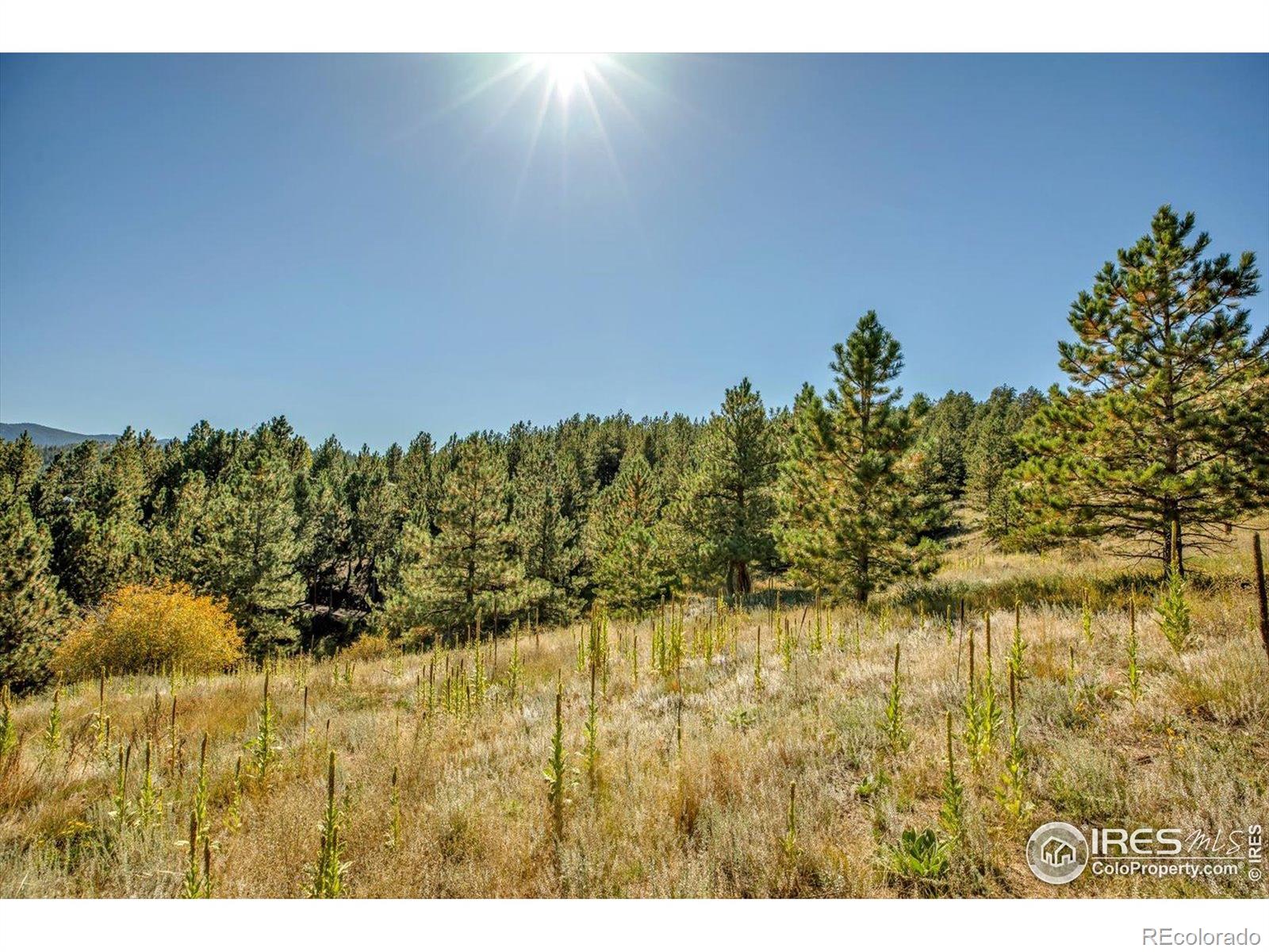 198 Puma Drive Boulder CO 80302