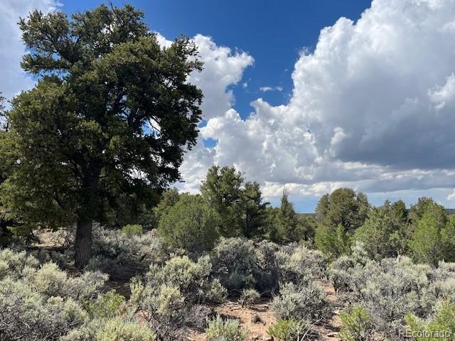 Lot 15 Deer Park Trail San Luis CO 81152