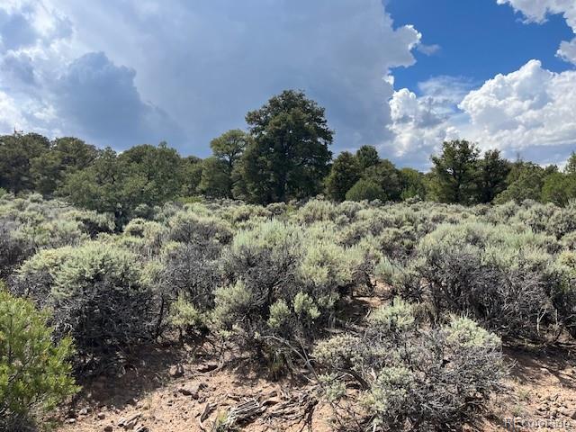 Lot 15 Deer Park Trail San Luis CO 81152