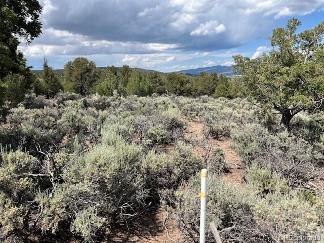 Lot 15 Deer Park Trail San Luis CO 81152