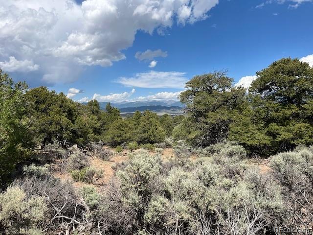 Lot 15 Deer Park Trail San Luis CO 81152
