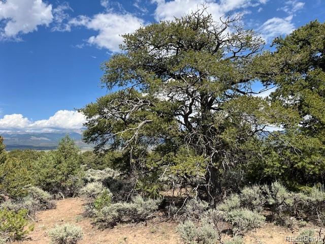Lot 15 Deer Park Trail San Luis CO 81152