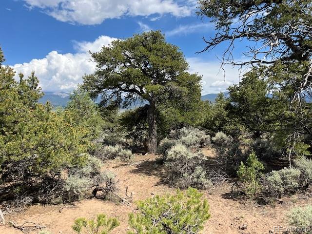 Lot 15 Deer Park Trail San Luis CO 81152