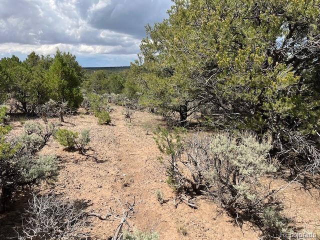 Lot 15 Deer Park Trail San Luis CO 81152