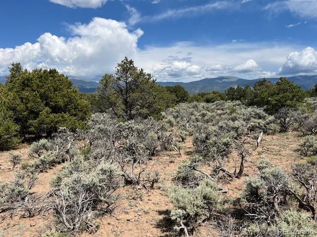 Lot 15 Deer Park Trail San Luis CO 81152
