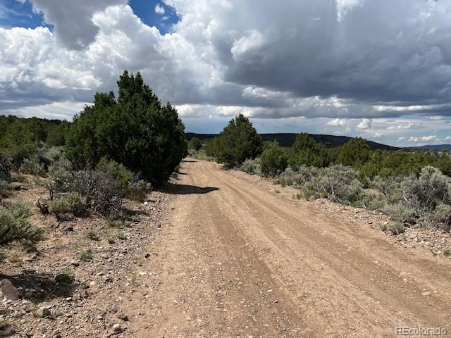 Lot 15 Deer Park Trail San Luis CO 81152