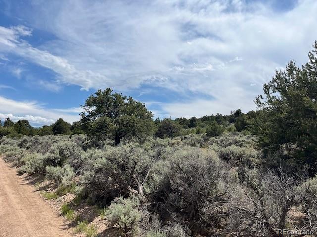 Lot 15 Deer Park Trail San Luis CO 81152
