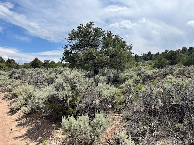 Lot 15 Deer Park Trail San Luis CO 81152