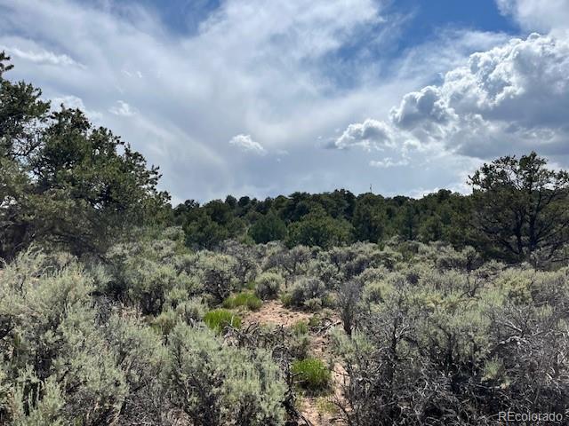 Lot 15 Deer Park Trail San Luis CO 81152