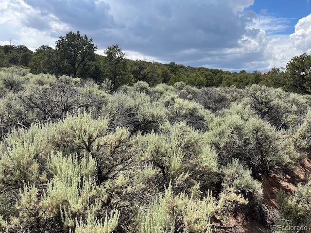 Lot 15 Deer Park Trail San Luis CO 81152