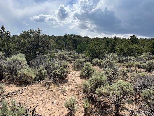 Lot 15 Deer Park Trail San Luis CO 81152