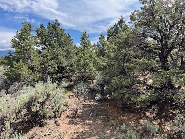 Lot 15 Deer Park Trail San Luis CO 81152