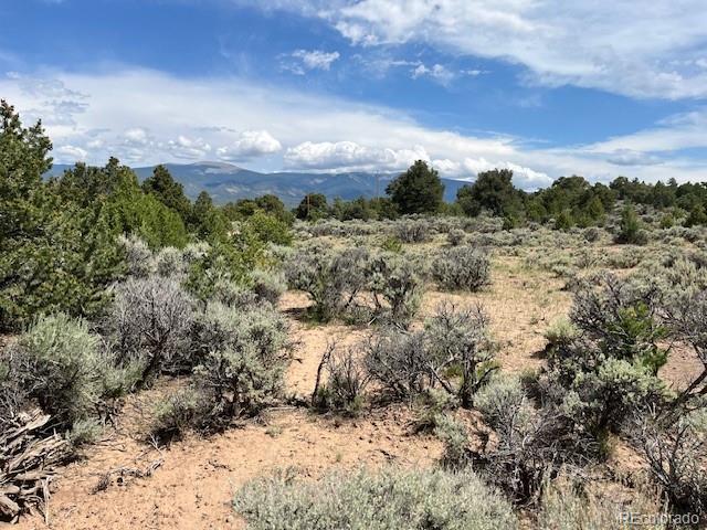 Lot 15 Deer Park Trail San Luis CO 81152