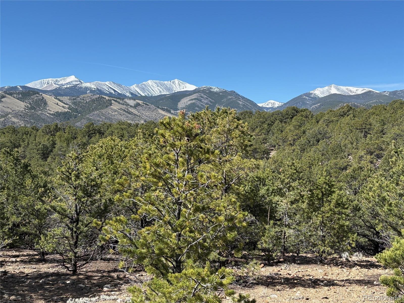14315 Mica Court Salida CO 81201