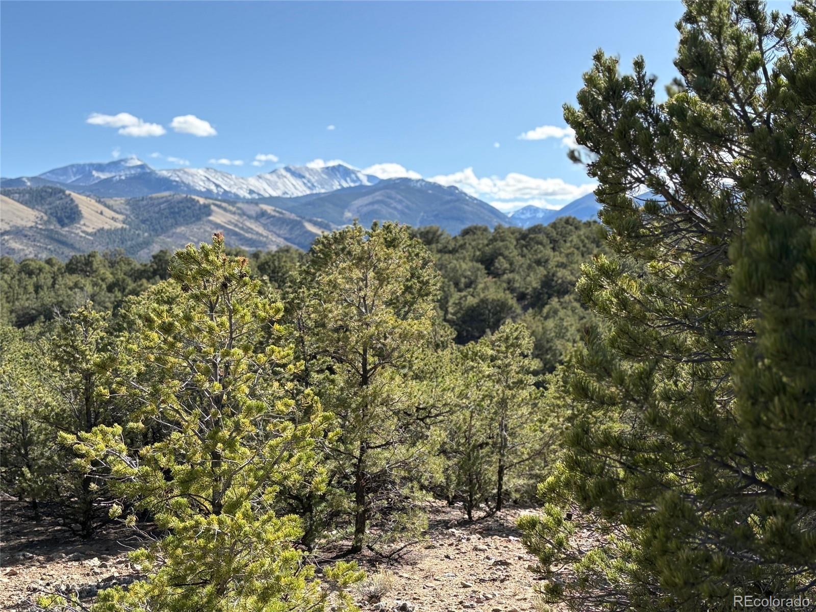 14315 Mica Court Salida CO 81201