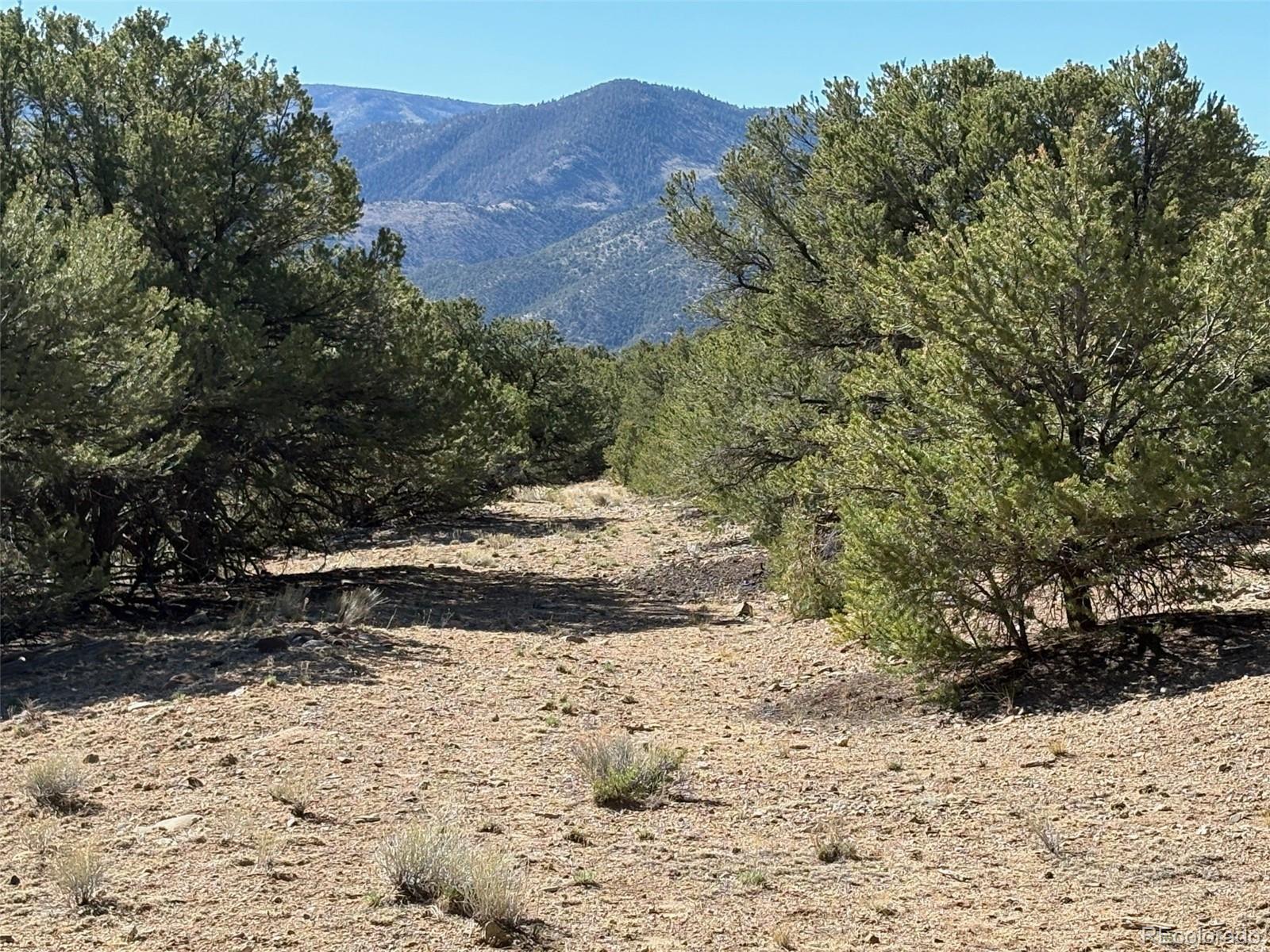 14315 Mica Court Salida CO 81201