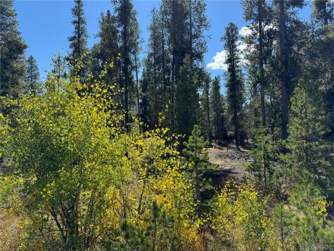 517 Augusta Drive Leadville CO 80461